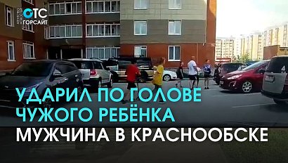 Снова бьют детей: мужчина в Краснообске избил чужого ребёнка