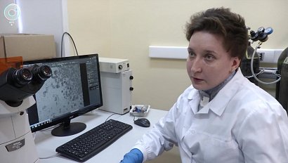 Новосибирские учёные разработали новый способ тестирования препаратов против рака молочной железы