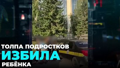 Инцидент с избиением ребёнка в Новосибирске заинтересовал Главу СК России