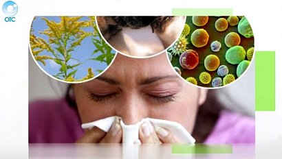 Рубрика "PRO здоровье": аллергия