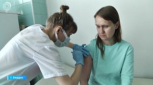 Первые случаи укуса клещей зафиксировали в Бердске