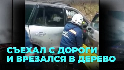 Автомобиль съехал с дороги и врезался в дерево в Новосибирске