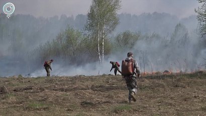 В Новосибирской области в четыре раза увеличилось количество ландшафтных пожаров