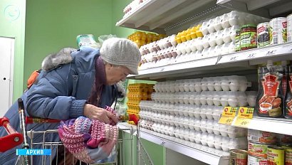 Аграриям Новосибирской области помогут в период посевной кампании