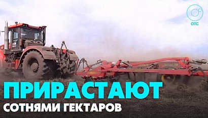 Три тысячи гектаров засеяли этой весной в Новосибирской области