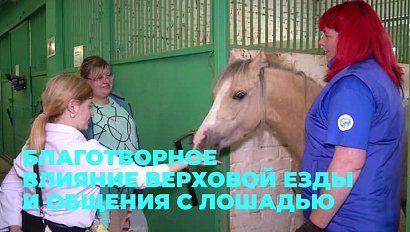 Новосибирский зоопарк открыл двери своей конюшни для посетителей