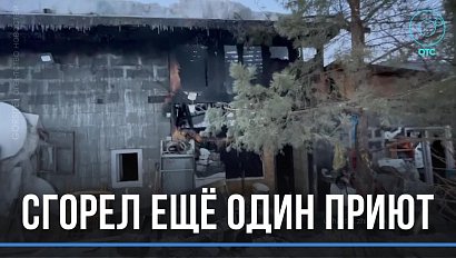 Ещё один приют для животных сгорел в Новосибирске
