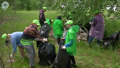 Пять километров берега Оби в Караканском бору очистили волонтёры