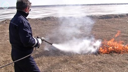 Спасатели Ордынского района провели тренировку по тушению лесных пожаров