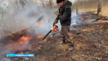 Пожароопасный сезон в Новосибирской области богат на неприятные рекорды