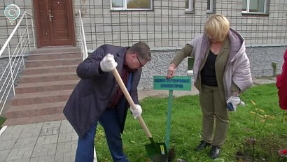 Новая яблоневая аллея появилась в Новосибирском доме ветеранов