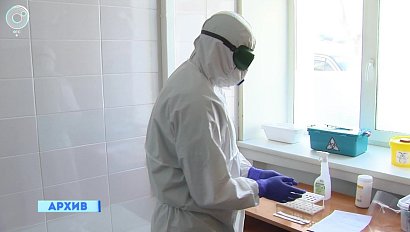 Минстрой НСО: инфекционную больницу на пятьсот коек построят в Новосибирском районе