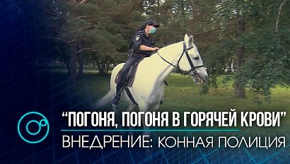 “Выйду в город вместе с конём” или история о буднях конной полиции в спецпроекте "Внедрение"