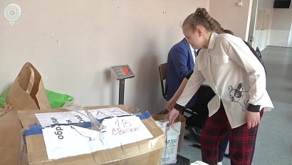 Макулатуру, батарейки и пластиковые крышки собирают новосибирские школьники