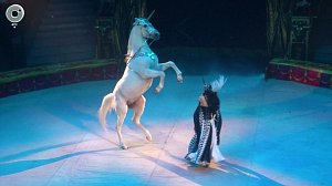 "Королевский цирк" покоряет новосибирскую публику