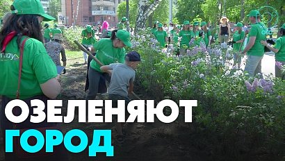 Триста новосибирцев вышли в центр города, чтобы высадить деревья