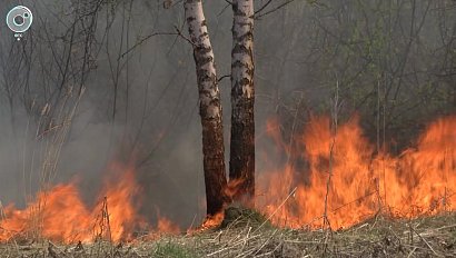 Природа пришла на помощь пожарным. Где удалось потушить огонь, а где ещё борются с возгораниями?