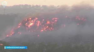 Пожар на Хилокском полигоне в Новосибирске произошёл из-за несоблюдения санитарно-эпидемиологических норм